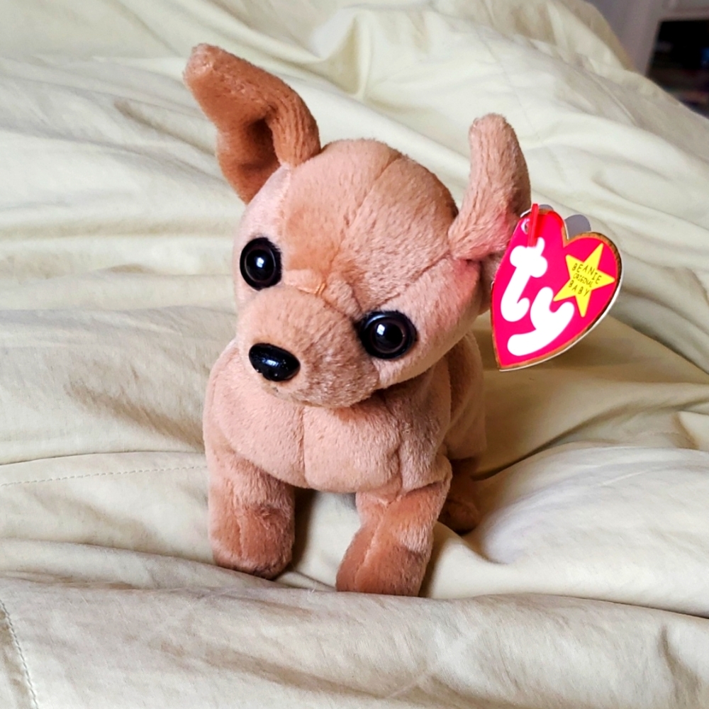 TY Beanie Baby Chihuahua "Tiny"  NWT
